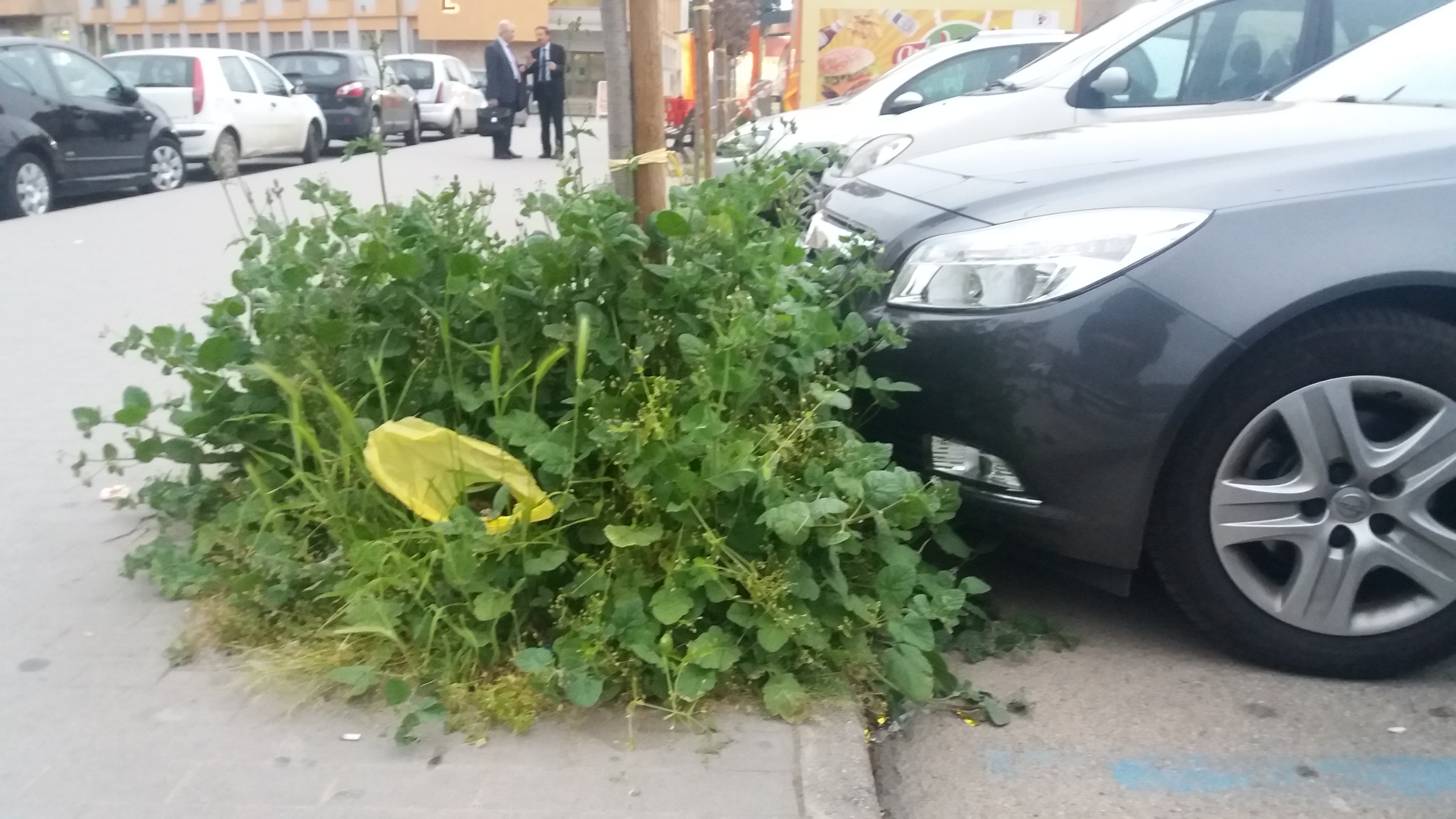 Emergenza erba alta a Benevento