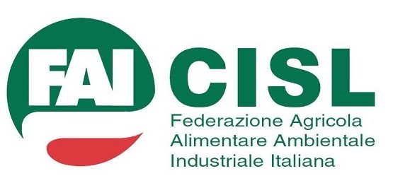 Elezioni RSU stabilimento European Piazza Group Benevento: Soddisfazione della FAI CISL IrpiniaSannio