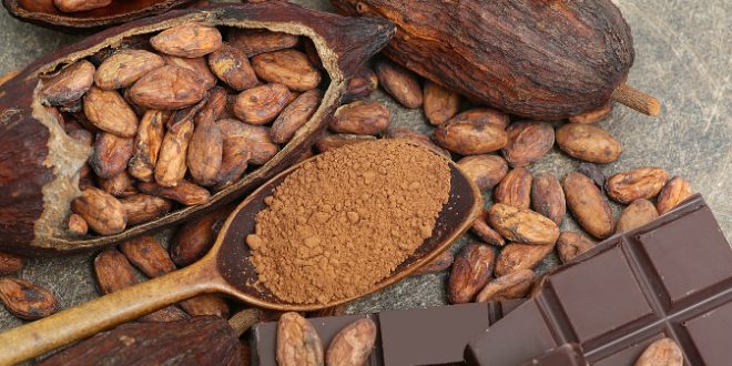 Roma| Il cacao puro, la nuova droga tra i giovani