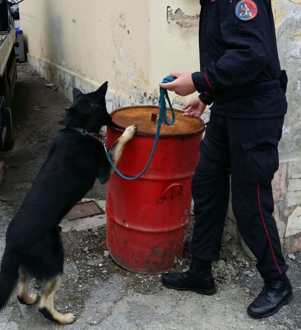 Mirabella Eclano| Droga, 17enne in manette grazie al fiuto del cane Zidane