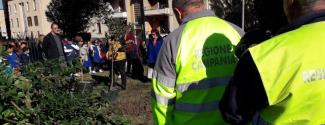 A Benevento celebrata la giornata dedicata all’Albero