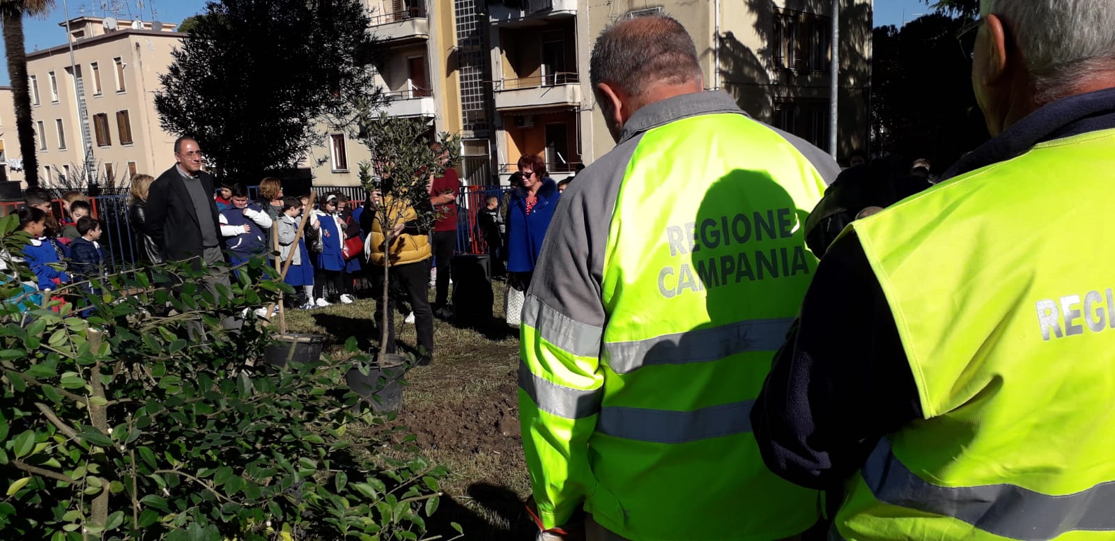 A Benevento celebrata la giornata dedicata all’Albero