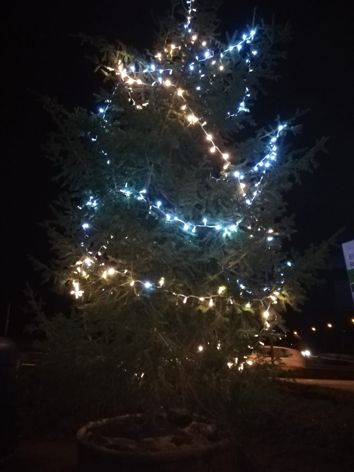 Benevento| La voce delle donne,a Pantano tra scambio di auguri e albero in piazzetta