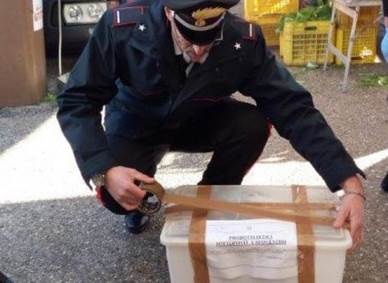 In prossimità delle festività natalizie i Carabinieri Forestali intensificano nel Sannio i controlli nella filiera agroalimentare