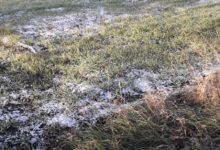 Primi fiocchi di neve ricoprono le zone interne di Sannio e Irpinia