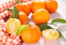 Crisi produttori clementine nel Sud Italia, Pedicini (M5S) interroga la Commissione europea