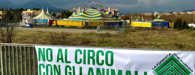 Benevento| “No al circo con gli animali”, lo striscione di protesta di Casapound