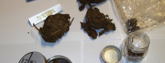 San Giorgio del Sannio| Marijuana nel garage e nella camera da letto: arrestato artigiano 54enne