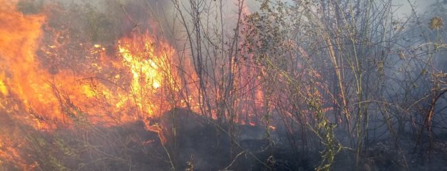 Roghi in Irpinia, è allarme