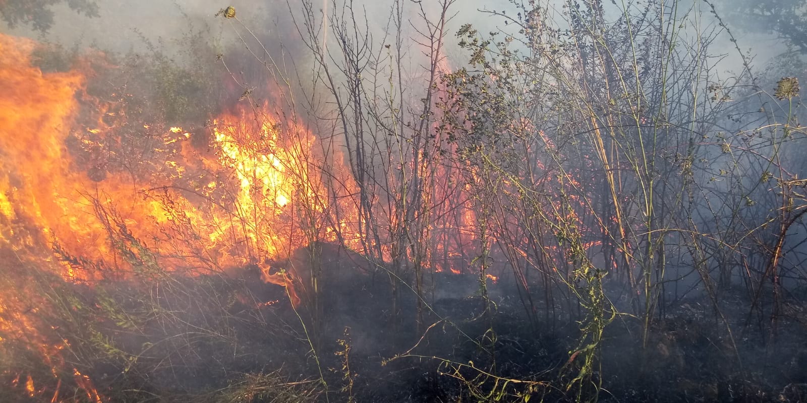 Roghi in Irpinia, è allarme