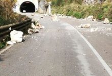 Strada Cerreto- Cusano: nuovi sopralluoghi della Provincia