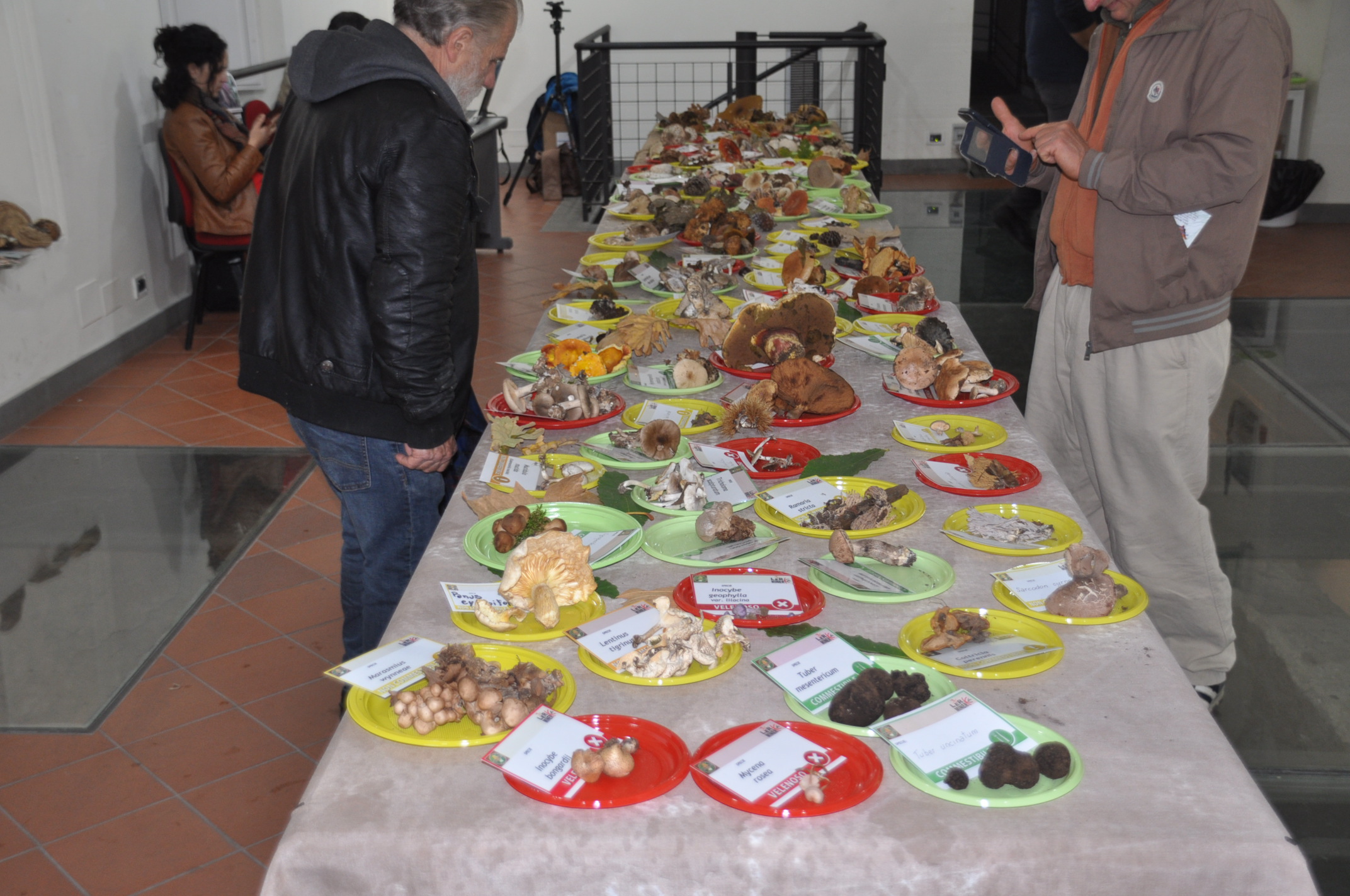 Benevento| “Buoni da morire”, alla Rocca dei Rettori al via la tre giorni dedicata ai funghi