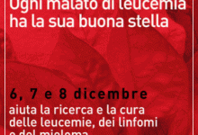 Ritornano le Stelle di Natale dell’AIL Benevento ONLUS “Stefania Mottola”