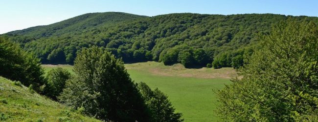 Parco Regionale del Taburno e Polo Museale della Campania: sottoscritto protocollo d’intesa