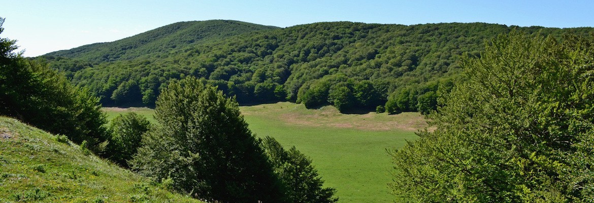 Parco Regionale del Taburno e Polo Museale della Campania: sottoscritto protocollo d’intesa