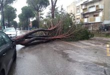 Benevento| Maltempo, nella notte danni e paura in città