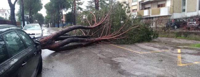 Benevento| Maltempo, nella notte danni e paura in città