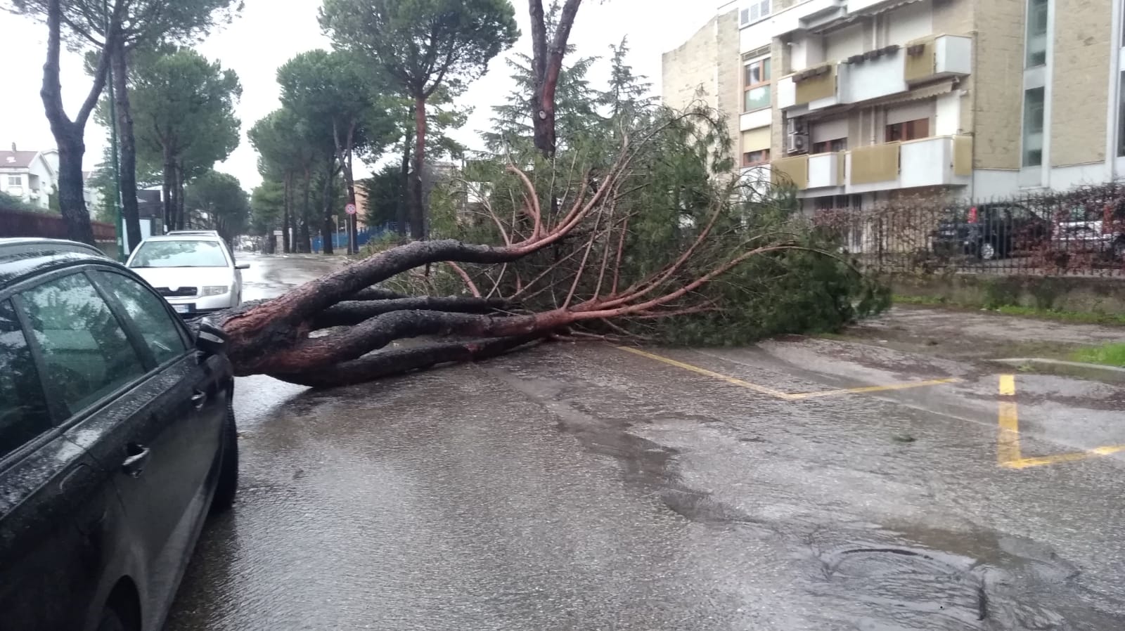 Benevento| Maltempo, nella notte danni e paura in città