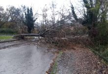 Benevento| Maltempo, le disposizioni del Comune: divieti di sosta e chiusura parchi comunali