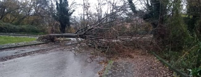 Benevento| Maltempo, le disposizioni del Comune: divieti di sosta e chiusura parchi comunali