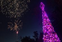 “Sette passi per il sorriso”, giornata intensa a San Leucio del Sannio. In serata inaugurato l’Albero delle Prevenzione