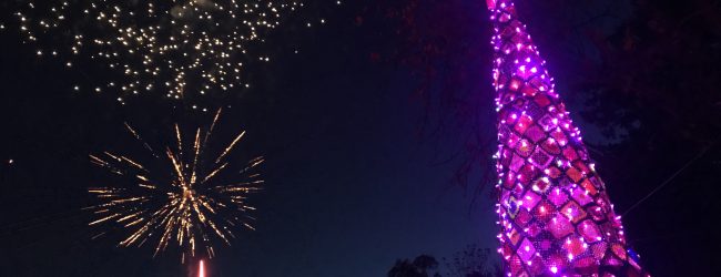 “Sette passi per il sorriso”, giornata intensa a San Leucio del Sannio. In serata inaugurato l’Albero delle Prevenzione