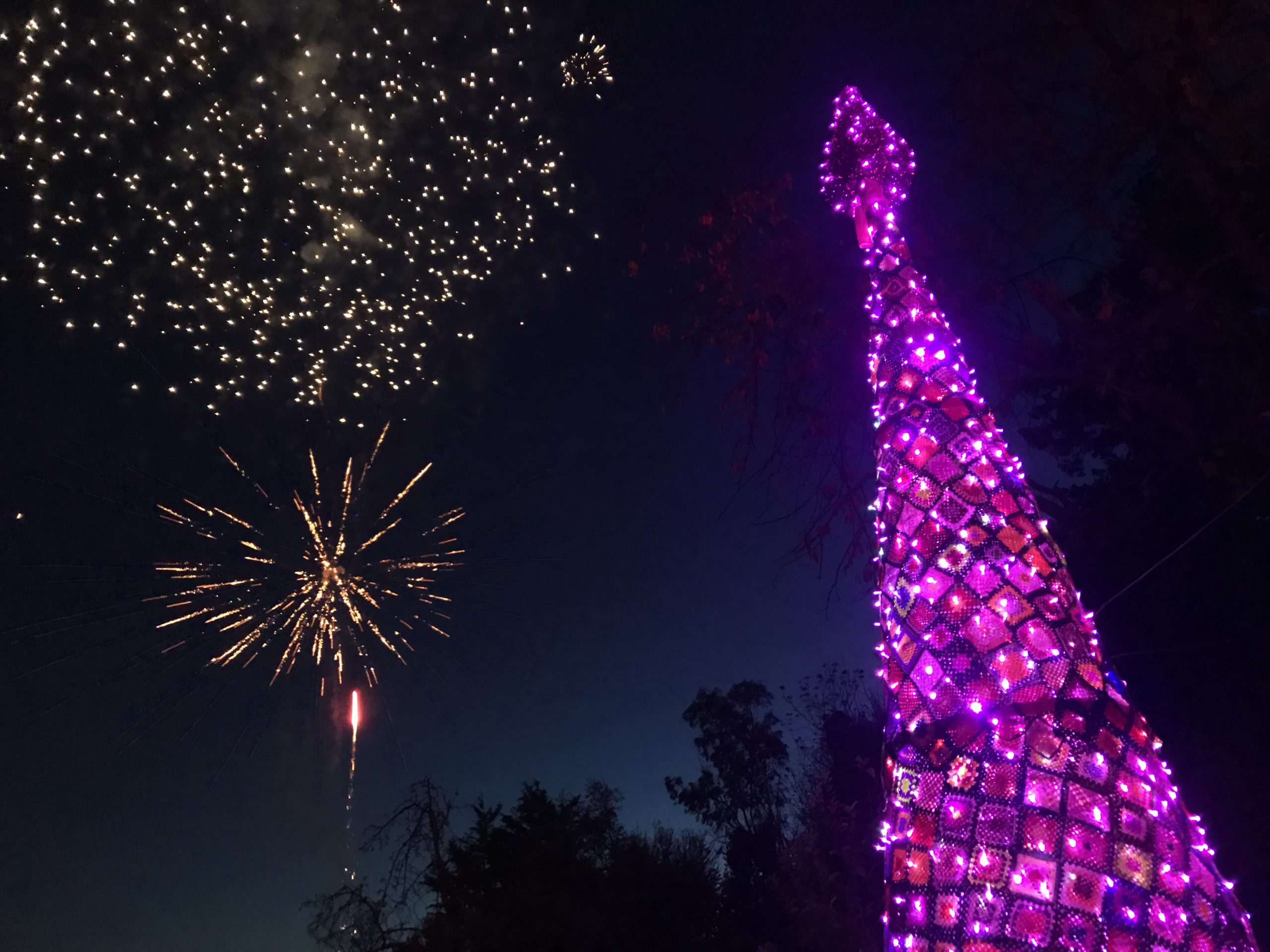 “Sette passi per il sorriso”, giornata intensa a San Leucio del Sannio. In serata inaugurato l’Albero delle Prevenzione