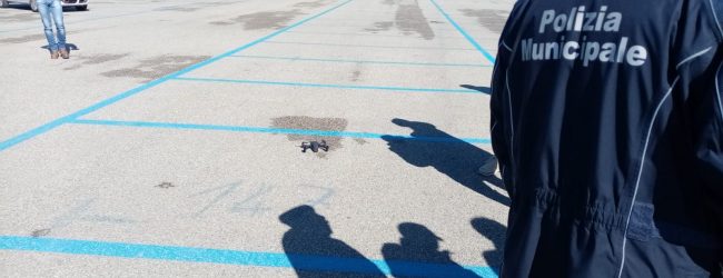 Benevento| Incidenti stradali e reati ambientali, la Municipale si dota del drone