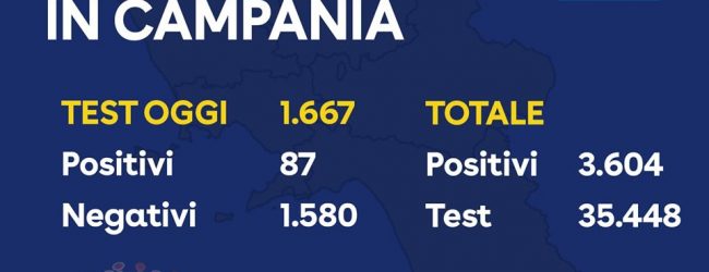 Covid-19, oggi in Campania meno tamponi  e più positivi rispetto a ieri