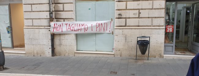 Benevento| No al taglio dei pini, lo striscione di “Fridays for future” a Palazzo Paolo V