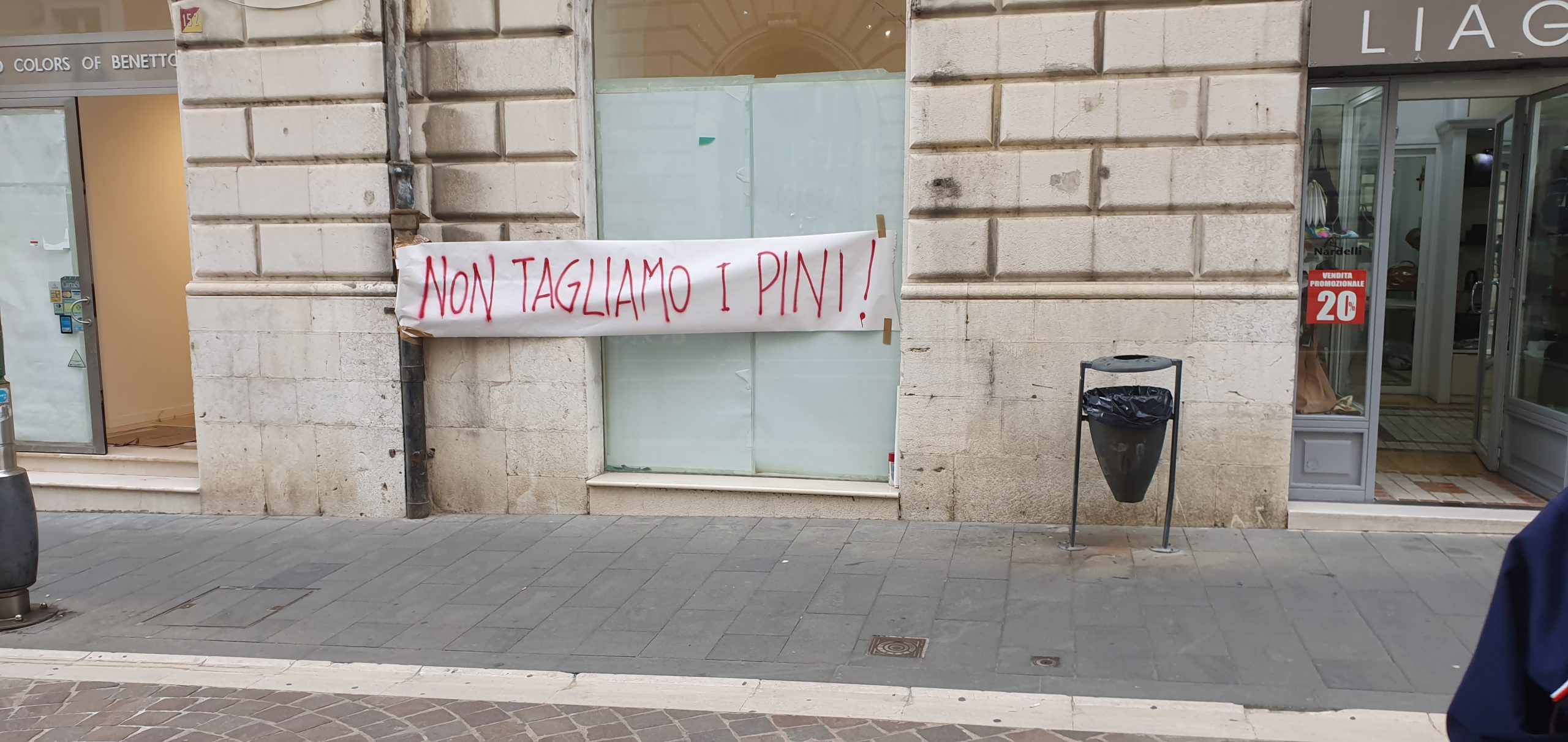 Benevento| No al taglio dei pini, lo striscione di “Fridays for future” a Palazzo Paolo V