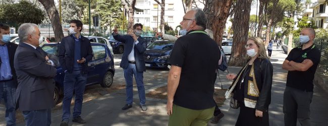 Benevento| Patto Civico, Paglia: non c’è motivo alcuno per abbattere tutti i pini di viale degli Atlantici