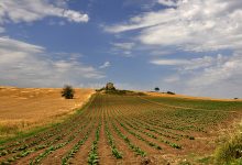 30° Concorso Fotografico Nazionale “Immagini del Sannio Rurale”, ecco il regolamento