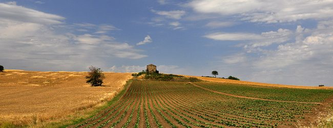 30° Concorso Fotografico Nazionale “Immagini del Sannio Rurale”, ecco il regolamento