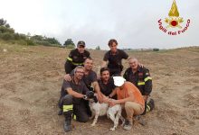 Fragneto Monforte| Vigili del Fuoco salvano cane finito in un tunnel