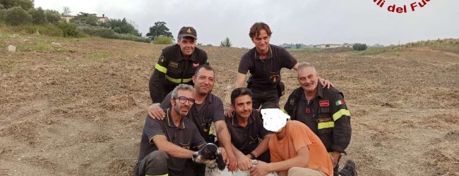 Fragneto Monforte| Vigili del Fuoco salvano cane finito in un tunnel