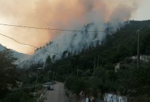 Incendio a Cerreto Sannita, colpita area boschiva