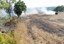 Benevento| Sterpaglie e rotoballe di fieno, ancora incendi in periferia/FOTO