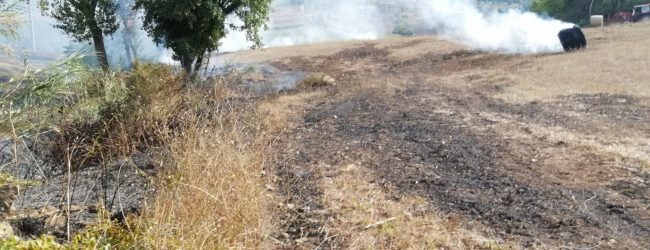 Benevento| Sterpaglie e rotoballe di fieno, ancora incendi in periferia/FOTO