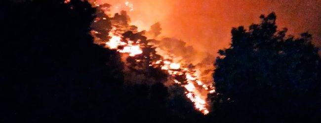 San Lorenzello| Brucia il Monte Erbano, Mortaruolo: una ferita dolorosissima nel cuore verde del nostro Sannio