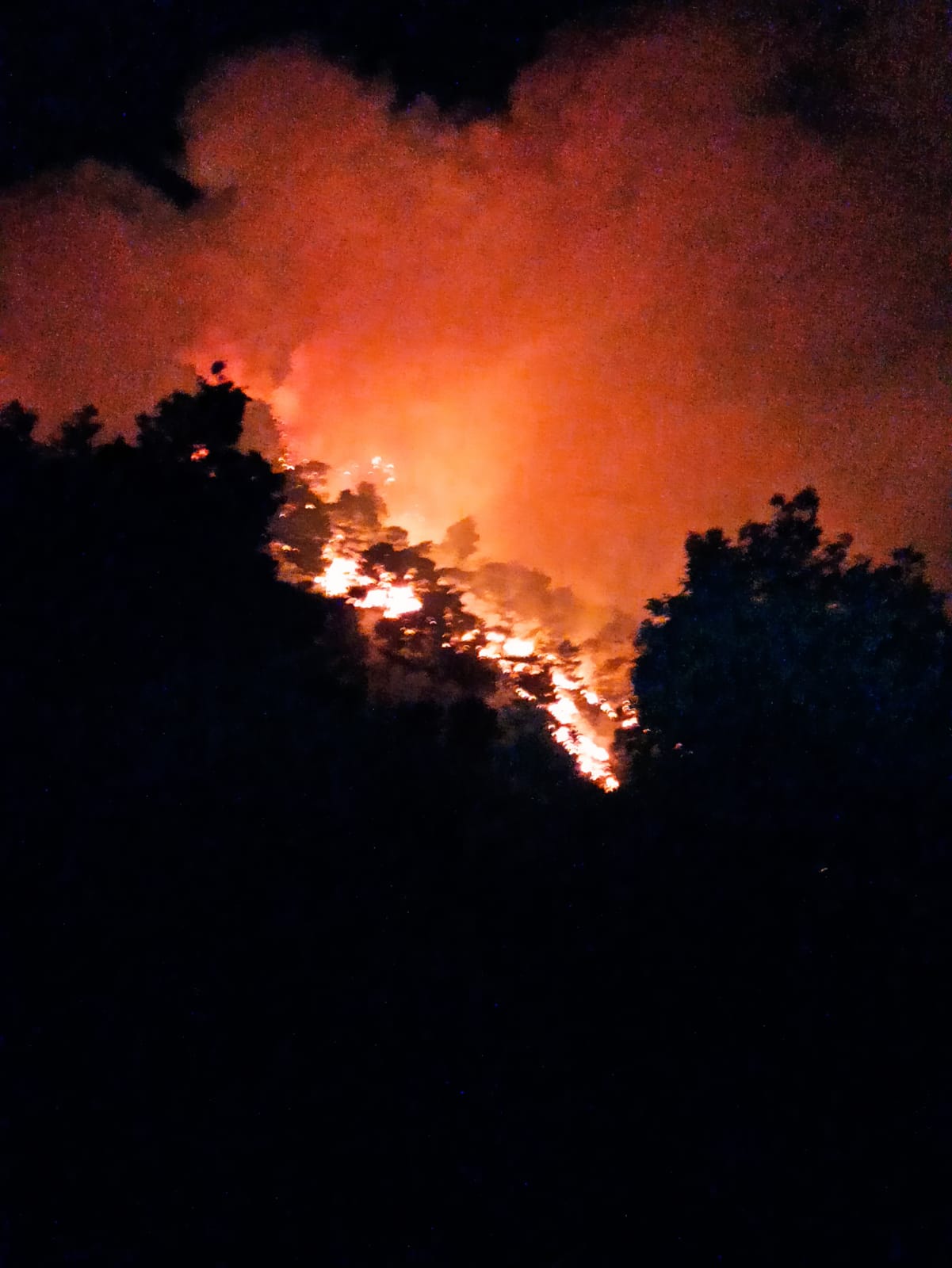 San Lorenzello| Brucia il Monte Erbano, Mortaruolo: una ferita dolorosissima nel cuore verde del nostro Sannio