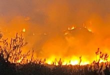 Incendi, ora è emergenza nel Sannio