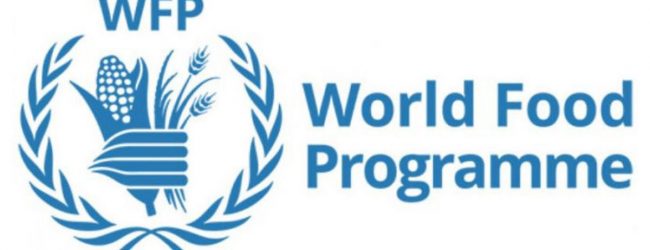 Benevento| World Food Programme delle Nazioni Unite: il Presidente della Provincia Di Maria si congratula con Sara Perrella