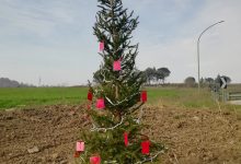 Benevento| L’albero della speranza a Contrada Pantano