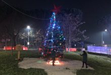 Benevento| Un albero di Natale per ricordare le vittime del Covid