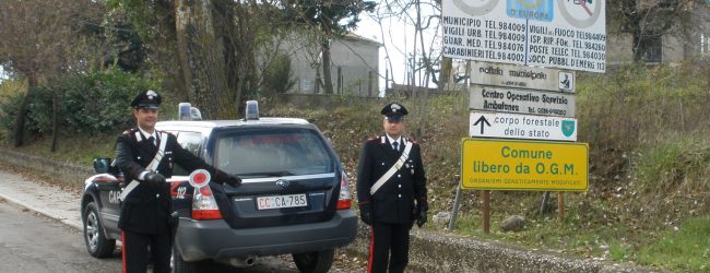 San Marco dei Cavoti| Operaio alla guida di un piccolo autocarro investi’ un 53enne e si dileguo’, identificato e denunciato dai Carabinieri