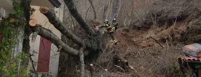 Arpaise| A Terranova un’altra imponente frana si è abbattuta sull’Associazione Ambientalista TANA (Terranova Arte e Natura), sfiorata la tragedia