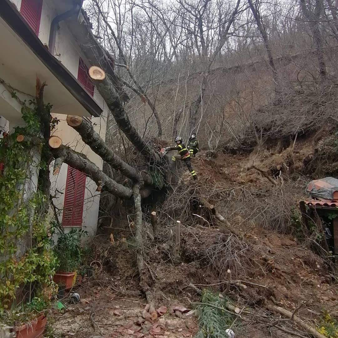 Arpaise| A Terranova un’altra imponente frana si è abbattuta sull’Associazione Ambientalista TANA (Terranova Arte e Natura), sfiorata la tragedia