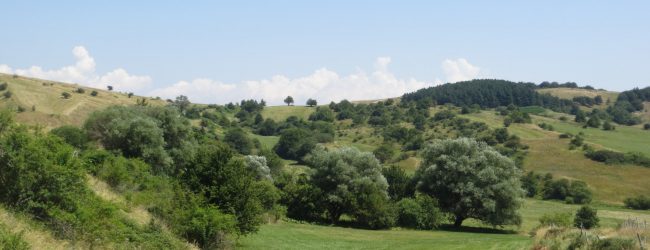 Benevento|Concorso fotografico Ordine dei Dottori Agronomi e dei Dottori Forestali della Provincia