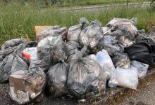 Giornata ecologica, a Pacevecchia raccolti 110 chili di plastica